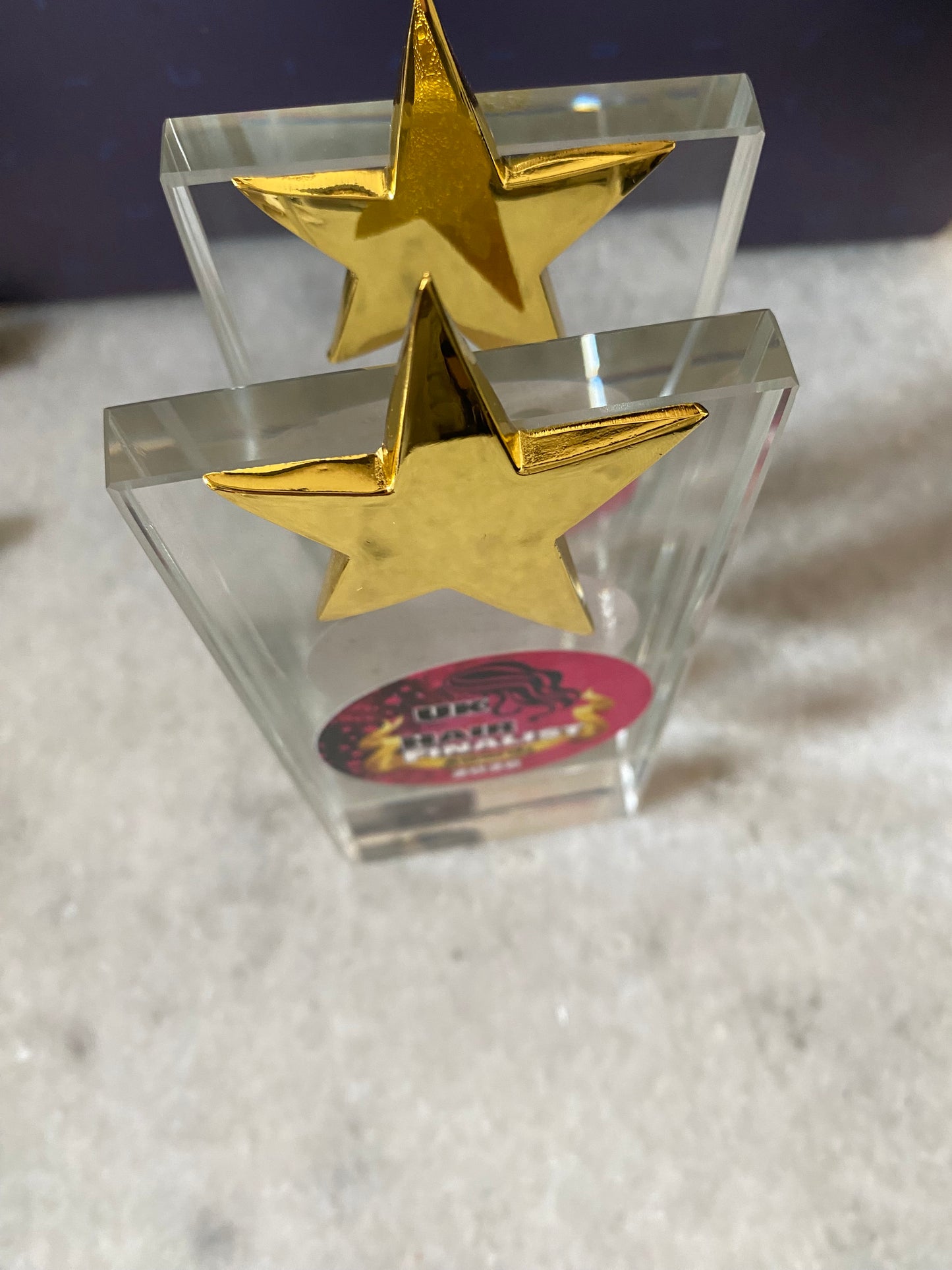 2026 Finalist Trophy (Hair/Beauty)
