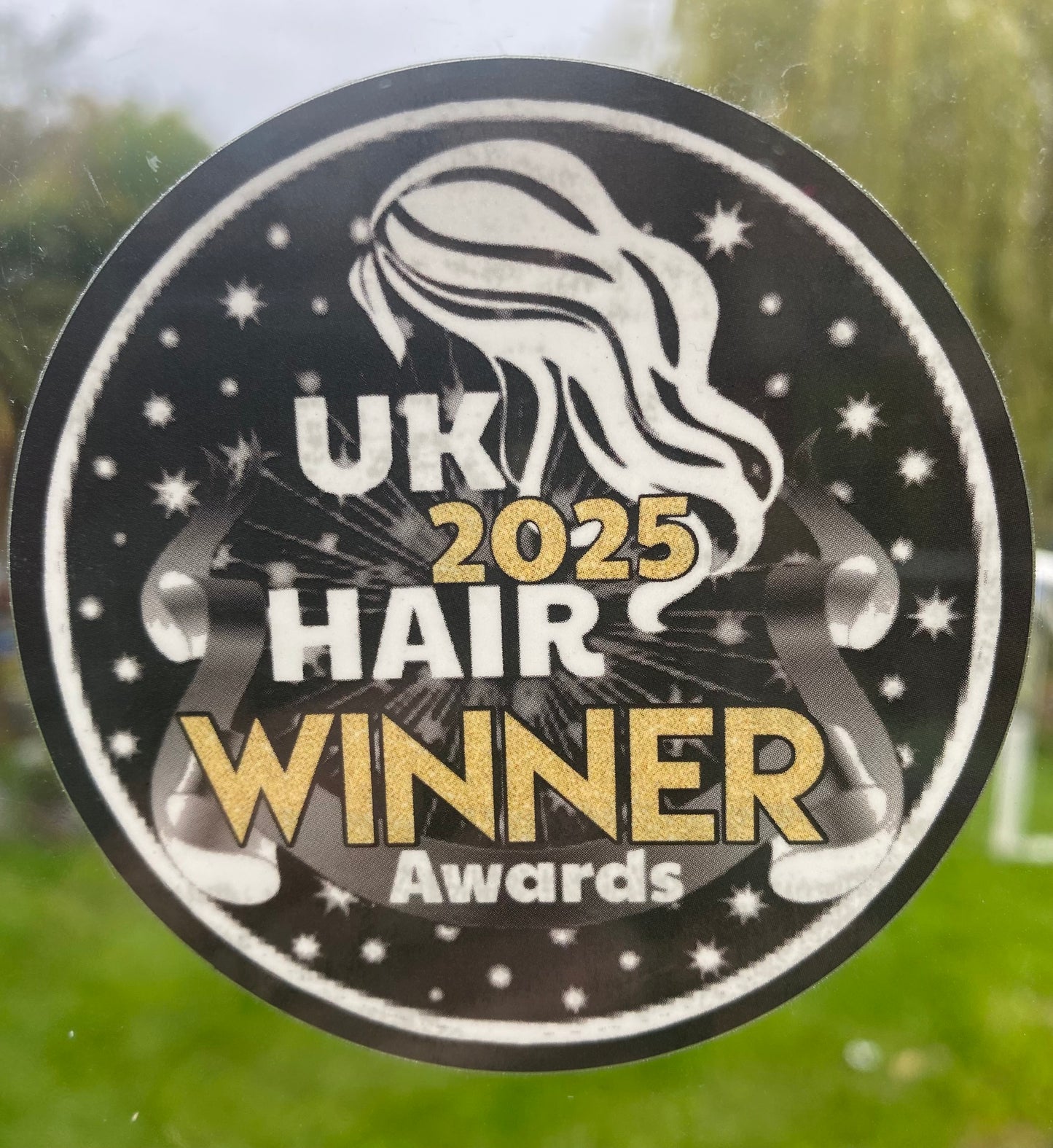 Salon Winner Decals 2025